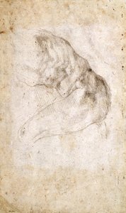 Studio per La Creazione di Adamo (verso) da Michelangelo Buonarroti